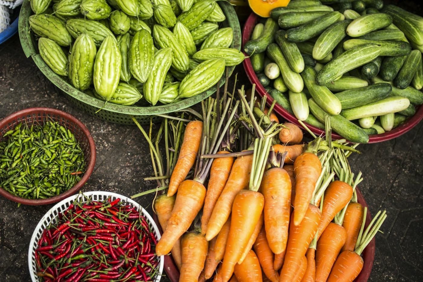 Coopérative Terre Vivante